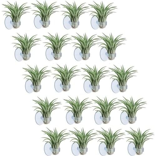 20 Pcs Air Plant Holder, Plant Pot Tillandsia Holder Air Plant Hanger with Suction Cup for Hanging (Plants Not Included)