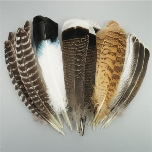 10Pcs/Lot Natural Eagle Feathers for Crafts Plume Headdress Accessories Holiday Decoration Carnival Feather DIY Handicraft Decor