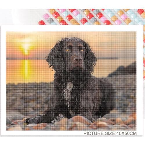 Diamond Painting Dog Sunset Animal Square Diamond Round Diamond Decoration Customizable Wall Art Decoration Frameless Style