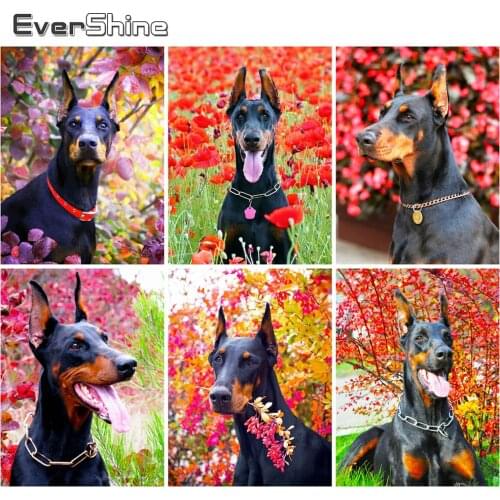 Evershine Diamond Painting Dog 5D DIY Diamond Embroidery Flower Rhinestone Mosaic Full Layout Sale Animals Cross Stitch Wall Art