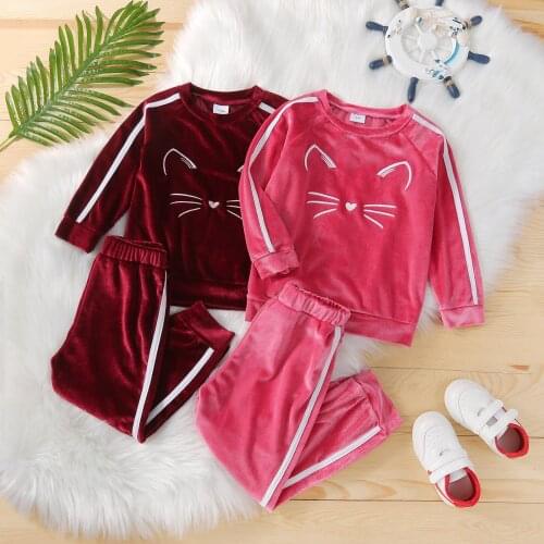 2Pcs Kids Baby Girls Autumn Tracksuit, Velvet O-Neck Long Sleeve Pullover + Casual Pants for Kids, 18 Months to 6 Years