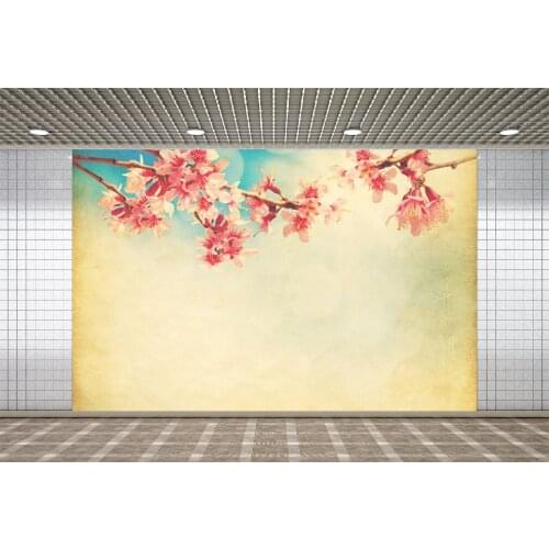 Lyavshi Photography Backdrops Suns Sky Retro Color Tone Abstract Natural Photographic Background Photo Studio Decoration Props