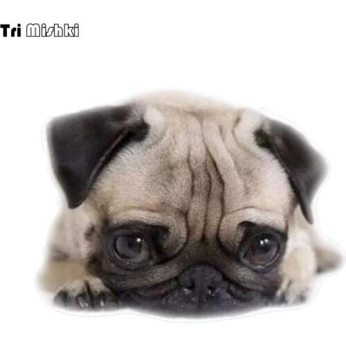 Tri Mishki WCS861 16x12cm lovely PUG dog car sticker PVC colorful Decals Waterproof sticker on Car Body Rear Window