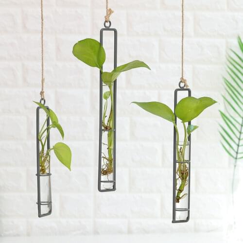 Northern European-Style Iron Art Hydroponic Plants Glass Vase Home Decoration Wall Vase