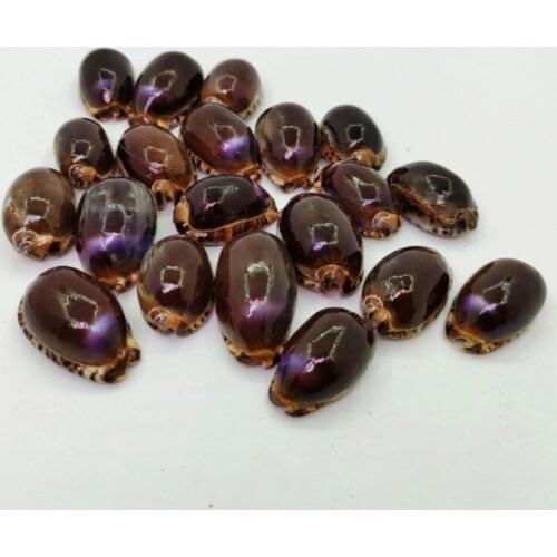 2pc Sea Beach Conch Shells Crafts Seashells Mini Natural Conch Corn Screw DIY Aquarium Landscape Decor Photo Props