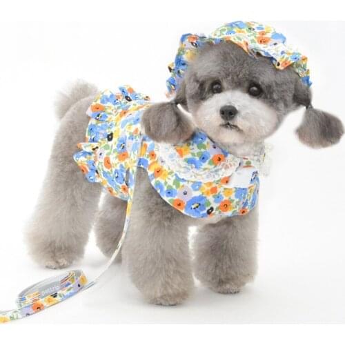 Lovely Dogs Harness Leash Set for Small Dogs Cats, Soft Adjustable Puppy Vest Harness No Pull, with Matching Hat