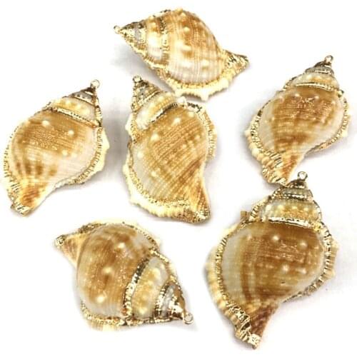 Natural shell fashion Conch Pendants Exquisite Charms for Jewelry Making DIY Bracelet Necklaces earring Accessories Size 35x55mm
