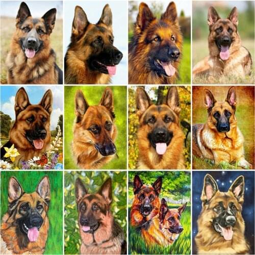 HUACAN DIY Frame Oil Painting By Numbers Dog Animal On Canvas Wall Art Acrylic Picture By Numbers Flower For Living Room