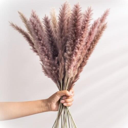 15Pcs Fleur Sechee Naturelle Dried Small Pampas Grass Flowers Para Decoracion Real Plants Home Decor Wedding Decoration Kwiaty