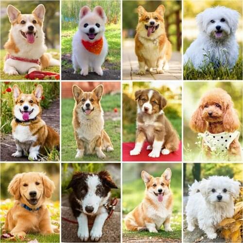 Evershine 5D Diamond Painting Dog New Arrival Diamond Embroidery Sale Cross Stitch Animals Mosaic Kit DIY Hobby Home Decoration