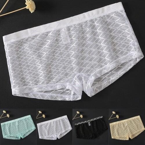 Mens Sexy Mesh Boxer Briefs Thin Transparent Underwear Shorts Trunks Underpant Transparent Underwear Shorts