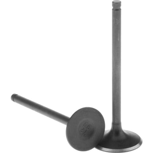 Set of 2 Engine Head Intake Exhaust Valve Parts, Engine Head Intake Exhaust Valves for ATV