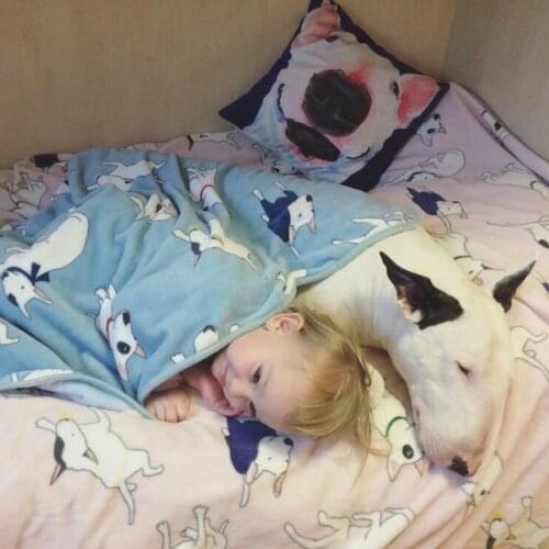 Fleece Bullterrier Dog Blankets Dog Bed Mats Pet Cat Blanket for Sofa bed Cover Kid 3 Size 2 Color