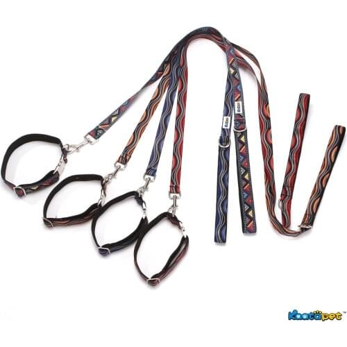 Kaatapet Adjustable Flowing Art Dog Traction Set Leashes