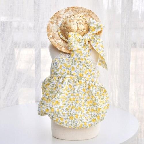 Cute Cat Dog Dress and Hat XXS XS Small Dog Costumes Summer Pet Dog Clothes Skirt Yorkshire Pomeranian Poodle Bichon Clothing