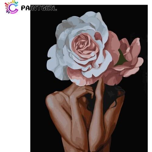 Character Paint By Number Set Frameless Canvas Painting 40x50cm 20 Colors Gift Diff:3 Stars VA-3090