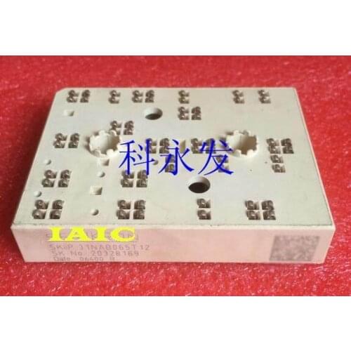 100%New and original, 90 days warranty SKIIP31NAB065T12