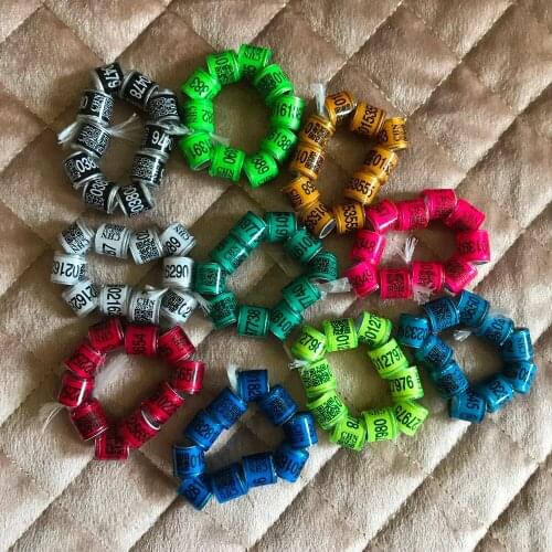 2018 pigeon foot rings bird ring 8mm colorful free Shipping 100pcs/lot