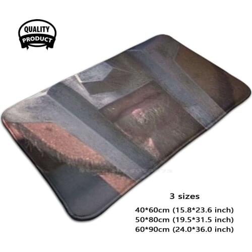 Gladiator Russel Crowe Us Decimus Meridius 3 Sizes Home Rug Room Carpet Gladiator Russell Crowe Us Decimus Meridius Joaquin