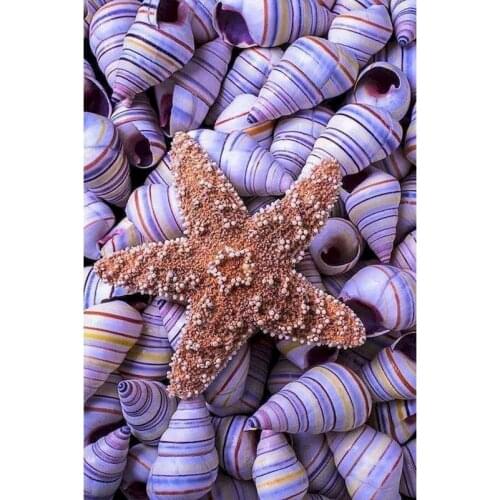 Painting By Numbers Conch Landscape Diy Oil Picture Decoration Wall Art Canvas Acrylic Coloring Paint By Number Kit For Adult