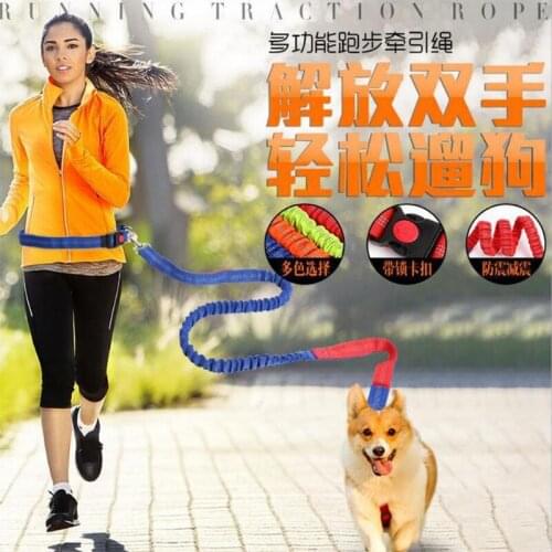 Pet Dog Leash Wholesale Explosion-proof Elastic Nylon Pet Running Leash Dog Walking Leash Adjustable Safety Harness for Dog