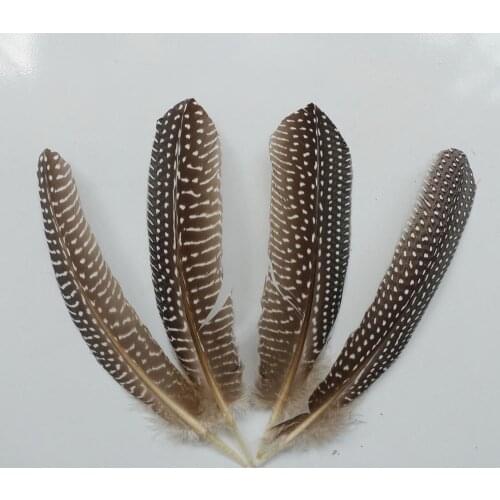Wholesale 100pcs 12-18cm Beautiful Chicken Pheasnt Plumas Feather For Mask Show Decoration DIY Crafts Jewelry Accessories Plume
