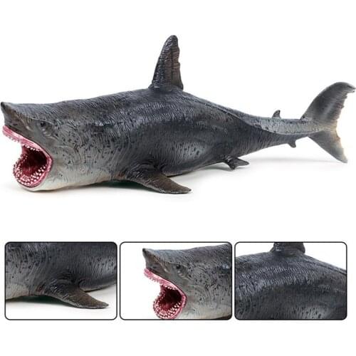 Simulation marine life animal model tooth shark ornament cannibal great toy childrens white shark tiger Q8B3