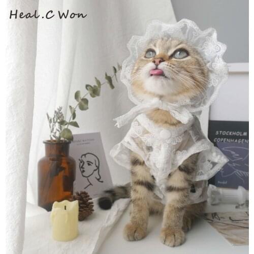 Cat Dresses Lace Pet Small Dog Clothers Cute Princess Cat Dress Clothes Anti-hair Loss Cat Clothes Pet Ropita Para Gato