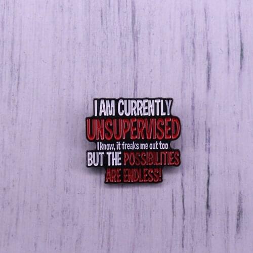 I am currently unsupervised, I know, but the possibilities are endless cartoon funny metal pin Rare New Big enamel Pin