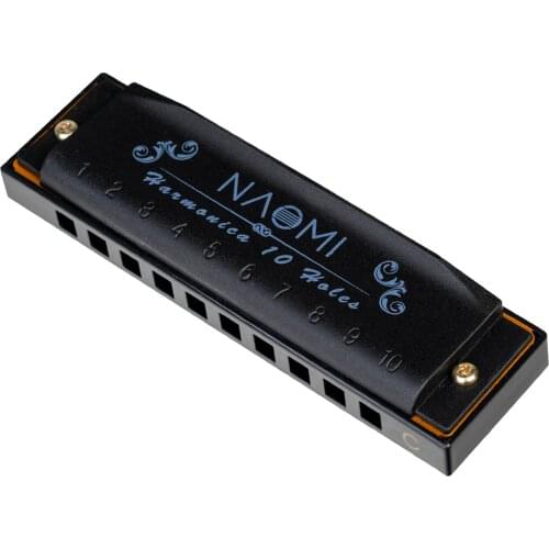 Portable 10-Hole Diatonic Blues Harmonica Key of C D G 3 Tone for Adults Children
