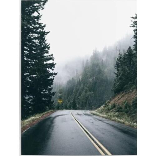 Canvas Prints Road Poster Home Decoration Painting Wall Art Landscape Pictures Modular Bedside Background No Framework Artwork