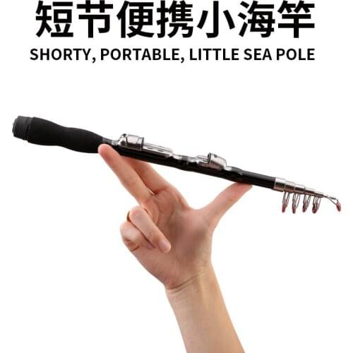 Folding length 33cm mini sea rod 1.0m/1.2m/1.5m/1.7m/1.9m/2.1m/2.3m fishing throwing rod ultra short Portable travel fishing rod