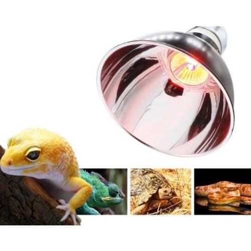 EU Plug Dome Reptile Lamp for Tortoise Lizard Frog Snake Fixture Reptile UVB Infrared Light Good Heat Dissipation for Reptile