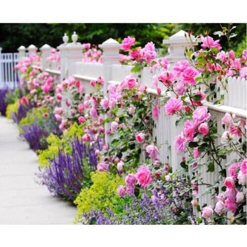 Daimond Painting Landscape Diamond Painting 5D New Arrivals Cross Stitch Diamond Art Painting Kits