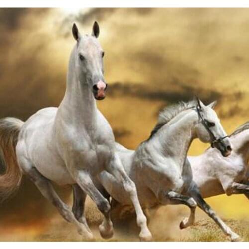 5D DIY Diamond Painting Square/Round Diamond Animal Painting Two Horses Picture Cross Stitch Embroidery Decoration Art WG2996