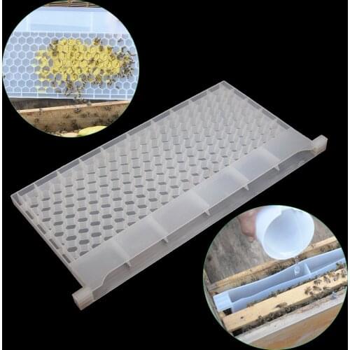 1PCS Multifunction 3 In 1 Bee Feeder Feed Power Water Honey Plastic Waterer Feeding Baffle Board PET Beekeeping Tools Supplies