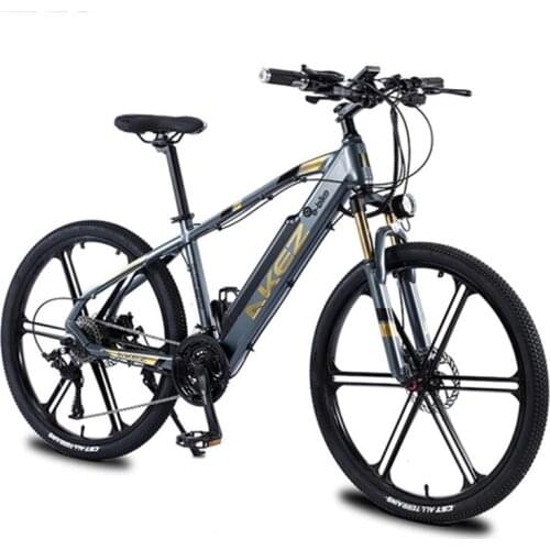 26'' Mountain Electric Bicycle For Adults Two Wheels Electric Bicycles 350W 36V Removable Battery Electric e Bike Bicycle