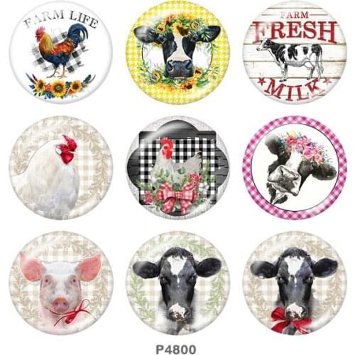 Cows animal 4H 12mm/18mm/20mm/25mm/30mm Round glass cabochon flat back Making findings snap button jewelry P4800