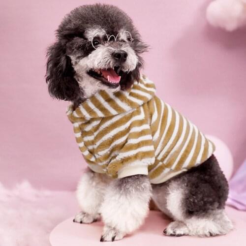 New Style Autumn Winter Pet Clothes Cat Coat Plush Striped Beige Dog Shirt Puppy Hoodie
