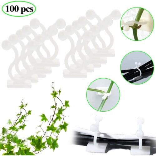 Plant climbing wall Self-Adhesive Fastener Tied fixture Vine Buckle Hook Garden plant wall climbing Vine Clips Fixed Buckle Hook