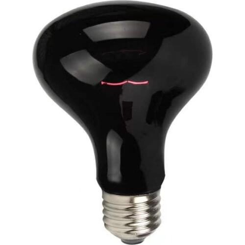 LISM Terrarium Lamps