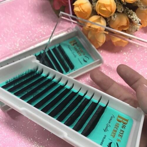 1 Tray/Set Eyelashes Extension South Korea Silk Lashes Classic Premade Lashes Custome Logo For Eyelashes Extension Free Shipping