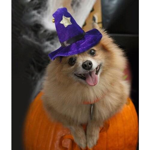 Pet Supplies Funny Halloween Hats Green-Haired Dogs and Cat Clothes Soft and Breathable Easy to Clean Dog Supplies Pet Products
