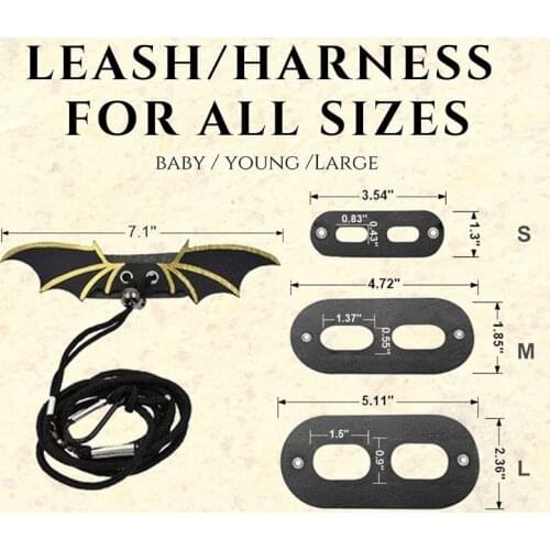 1 Set Lizard Traction Rope Reptile Bearded Dragon Harness Leather Leash with Wing + Hat + Hammock Pet Supplies
