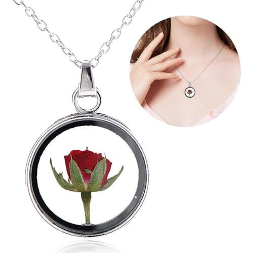 Fashion Glass Charms Pendant Necklace Dried Flower New Dry Flower Round Locket Necklace Gold Chain Necklace For Women Jewelry
