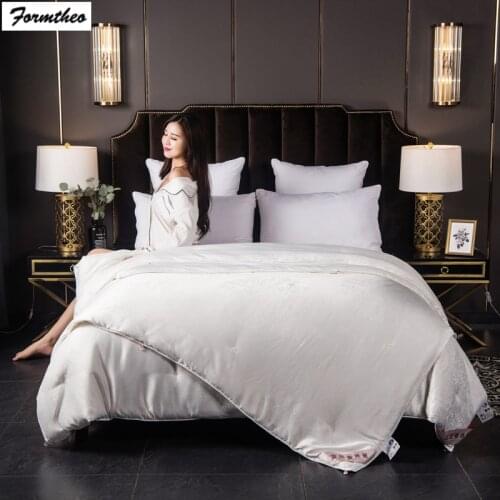 FORMTHEO Winter Single Double Mulberry Silk Quilt Comforter Duvet Bedspread 220*240