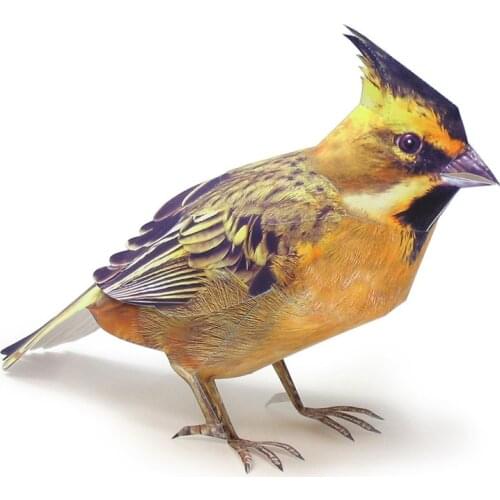 Yellow-throated bunting bird Folding Mini Cute 3D Paper Model Papercraft Realistic Animal DIY Kids Adult Craft Toys WE-002
