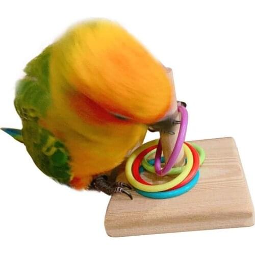 Wooden Bird Parrot Platform Plastic Ring Intelligence Training Chew Toy Bird Toy Supplies Pet Develop Intelligence