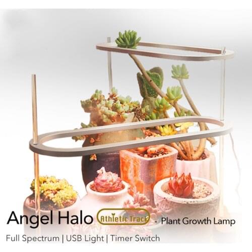 2021 Newest Full Spectrum Led Grow Light Timer Switch Angel Runway 8/12/16Hours For Growth Hydroponic Plants Seeds PhytoLamp