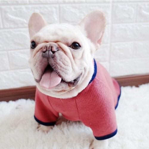 Pet Clothes Dog Clothes Winter Cat Clothes Turtleneck Extra Thick Warm Sweater Soft Bottom Peggy Kitten Coat New Pet Supplies